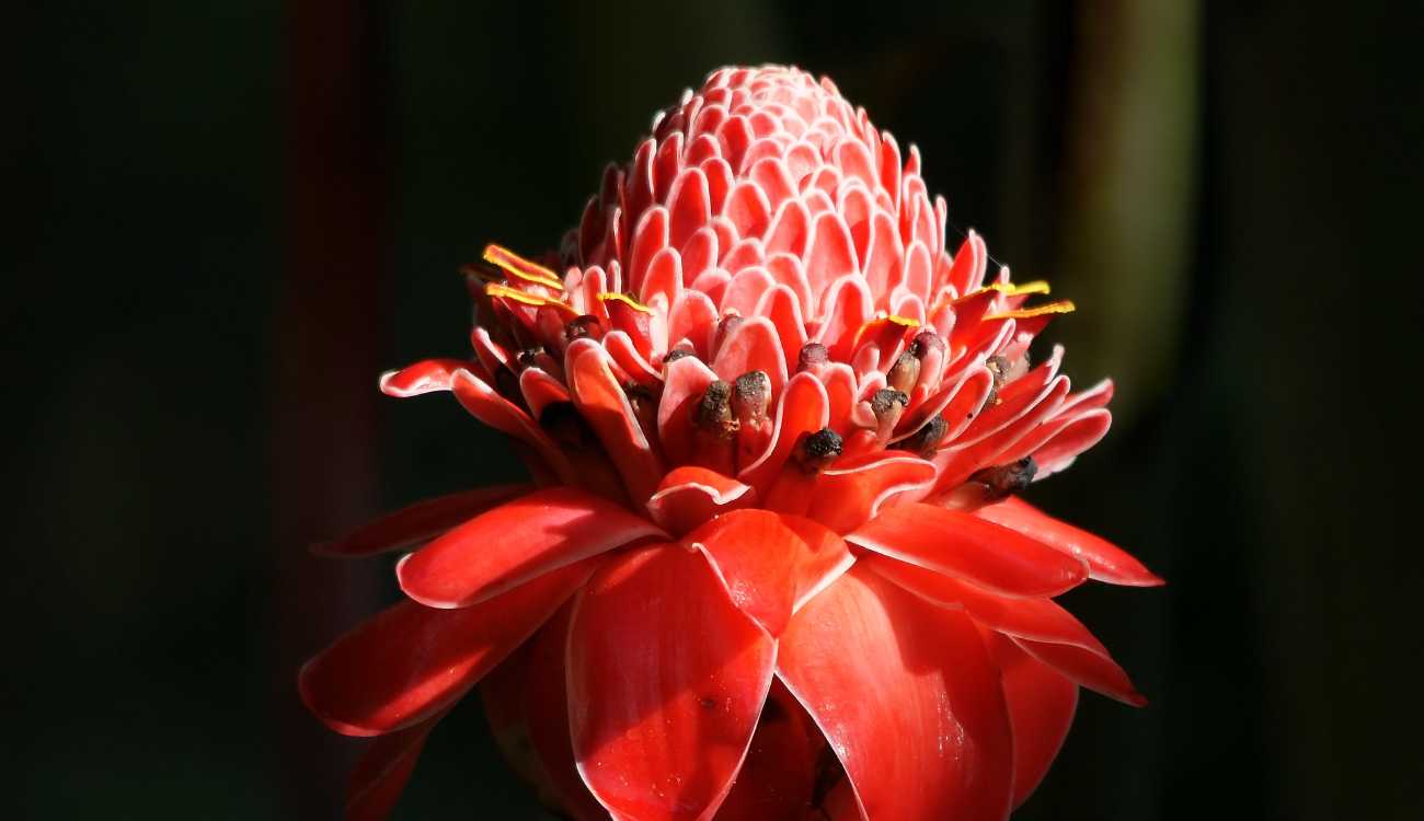 Responsible Travel III