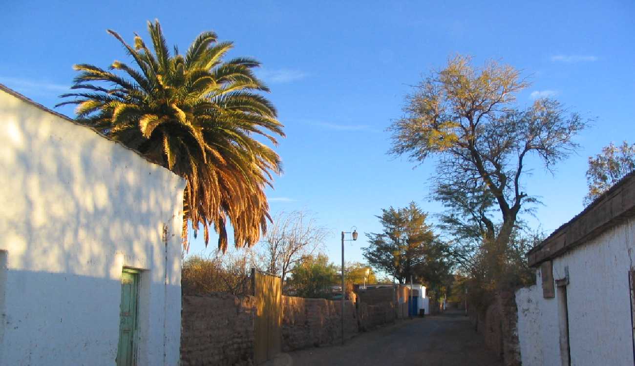 Cuba Horseback Rides